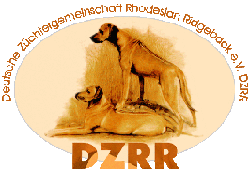 logo_dzrr.gif
